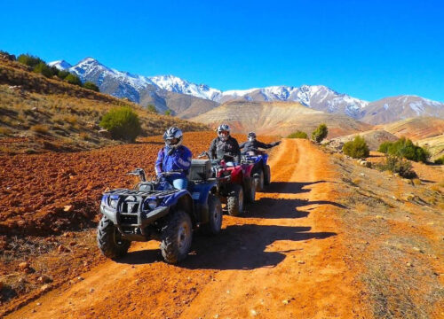 Agafay Desert Adventure: Quad Ride, Camel Trek, Dinner Show