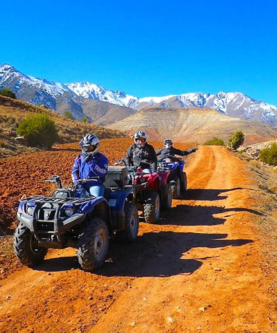 Agafay Desert Adventure: Quad Ride, Camel Trek, Dinner Show