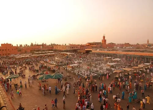 Marrakech : Private guided half day city tour