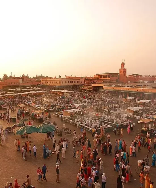 Marrakech : Private guided half day city tour